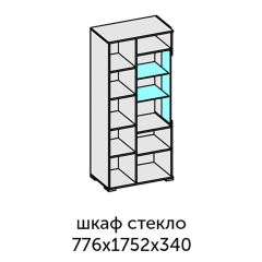 Аллегро-10 Шкаф 2дв. (со стеклом) (дуб крафт золотой-камень темный) в Еманжелинске - emanzhelinsk.mebel24.online | фото 2