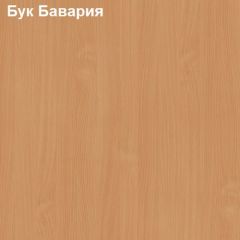 Антресоль для узкого шкафа Логика Л-14.2 в Еманжелинске - emanzhelinsk.mebel24.online | фото 2