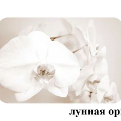 БОСТОН - 2 опоры Триумф в Еманжелинске - emanzhelinsk.mebel24.online | фото 18