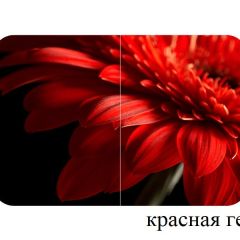 БОСТОН - 2 опоры Триумф в Еманжелинске - emanzhelinsk.mebel24.online | фото 50