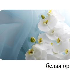 БОСТОН - 2 опоры Триумф в Еманжелинске - emanzhelinsk.mebel24.online | фото 52