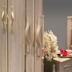 ДИАНА Д11А Шкаф для одежды в Еманжелинске - emanzhelinsk.mebel24.online | фото 4