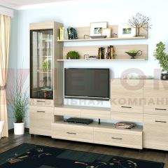 Гостиная Камелия Композиция 5 (Ясень Асахи) в Еманжелинске - emanzhelinsk.mebel24.online | фото 1