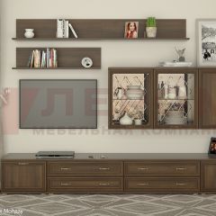 Гостиная Карина Композиция 10 (Акация Молдау) в Еманжелинске - emanzhelinsk.mebel24.online | фото