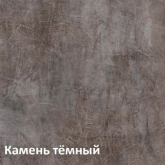 Крафт Полка навесная 15.64 в Еманжелинске - emanzhelinsk.mebel24.online | фото 4