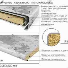 Кухонный фартук со столешницей (А-03) в едином стиле (3050 мм) в Еманжелинске - emanzhelinsk.mebel24.online | фото 6