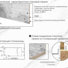Кухонный фартук со столешницей (А-03) в едином стиле (3050 мм) в Еманжелинске - emanzhelinsk.mebel24.online | фото 7