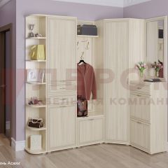 Прихожая Карина композиция 5 (Ясень Асахи) в Еманжелинске - emanzhelinsk.mebel24.online | фото