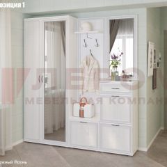 Прихожая Карина (модульная) в Еманжелинске - emanzhelinsk.mebel24.online | фото 3