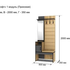 ОЛЬГА-ЛОФТ 1 Прихожая в Еманжелинске - emanzhelinsk.mebel24.online | фото 4