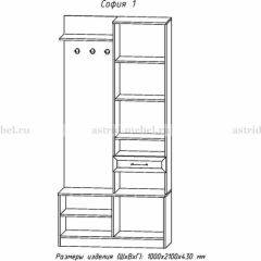 Прихожая София 1 в Еманжелинске - emanzhelinsk.mebel24.online | фото 3