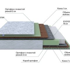 PROxSON Матрас Green M (Tricotage Dream) 80x210 в Еманжелинске - emanzhelinsk.mebel24.online | фото 7