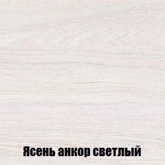 Шкаф 2-х створчатый МСП-1 (Ясень Анкор светлый) в Еманжелинске - emanzhelinsk.mebel24.online | фото 4