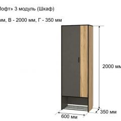 ОЛЬГА-ЛОФТ 3 Шкаф 2-х створчатый в Еманжелинске - emanzhelinsk.mebel24.online | фото 4