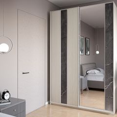 Шкаф-купе 1300 серии SILVER S4+S3Z+B2+PL1 (2 ящика+1 штанга) профиль «Серебро» в Еманжелинске - emanzhelinsk.mebel24.online | фото