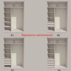 Шкаф-купе 1300 серии SILVER S4+S3Z+B2+PL1 (2 ящика+1 штанга) профиль «Серебро» в Еманжелинске - emanzhelinsk.mebel24.online | фото 5