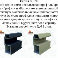 Шкаф-купе 1400 серии SOFT D6+D6+B2+PL3 (2 ящика+2штанги) профиль «Капучино» в Еманжелинске - emanzhelinsk.mebel24.online | фото 12