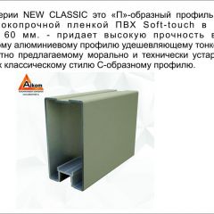 Шкаф-купе 1500 серии NEW CLASSIC K2+K2+B2+PL2(2 ящика+1 штанга+1 полка) профиль «Капучино» в Еманжелинске - emanzhelinsk.mebel24.online | фото 17