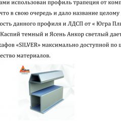 Шкаф-купе 1500 серии SILVER S1+S1+B2+PL2 (2 ящика+1 штанга+1 полка) профиль «Серебро» в Еманжелинске - emanzhelinsk.mebel24.online | фото 4