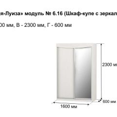 Шкаф-купе 1600 с зеркалом "Мария-Луиза 6.16" в Еманжелинске - emanzhelinsk.mebel24.online | фото 4