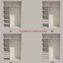 Шкаф-купе 1700 серии SILVER S1+S1+B2+PL2 (2 ящика+1 штанга+1 полка) профиль «Серебро» в Еманжелинске - emanzhelinsk.mebel24.online | фото 5