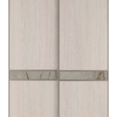 Шкаф-купе 1700 серии SILVER S1+S1+B2+PL2 (2 ящика+1 штанга+1 полка) профиль «Серебро» в Еманжелинске - emanzhelinsk.mebel24.online | фото 10
