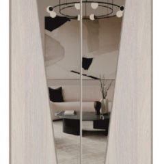 Шкаф-купе 1700 серии SILVER S1+S1+B2+PL2 (2 ящика+1 штанга+1 полка) профиль «Серебро» в Еманжелинске - emanzhelinsk.mebel24.online | фото 12