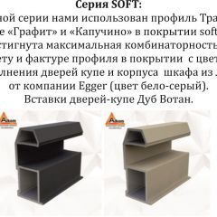 Шкаф-купе 2100 серии SOFT D4+D4+D4+B22+PL1 (по 2 ящика лев/прав+1штанга) профиль «Графит» в Еманжелинске - emanzhelinsk.mebel24.online | фото 12