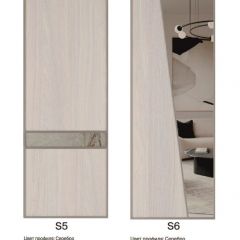 Шкаф-купе 2250 серии SILVER S5+S5+S5 B22+PL4 (по 2 ящика лев/прав+F обр.штанга) профиль «Серебро» в Еманжелинске - emanzhelinsk.mebel24.online | фото 14