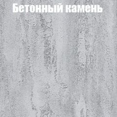Шкаф-купе Бассо 1.0 (Дуб Крафт серый/Бетонный камень) 2 двери ЛДСП 2 зеркальные вставки в Еманжелинске - emanzhelinsk.mebel24.online | фото 3