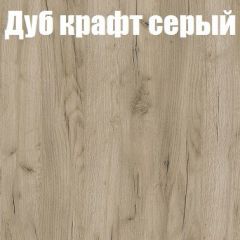 Шкаф-купе Бассо 1.0 (Дуб Крафт серый/Бетонный камень) 2 двери ЛДСП 2 зеркальные вставки в Еманжелинске - emanzhelinsk.mebel24.online | фото 4