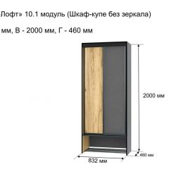 ОЛЬГА-ЛОФТ 10.1 Шкаф-купе без зеркала в Еманжелинске - emanzhelinsk.mebel24.online | фото 3