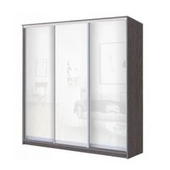 Шкаф-купе ХИТ 23-18/2-888 (620) в Еманжелинске - emanzhelinsk.mebel24.online | фото 1