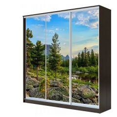 Шкаф-купе ХИТ 23-4-18-777 (420) в Еманжелинске - emanzhelinsk.mebel24.online | фото 1