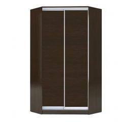 Шкаф-купе ХИТ-У-R-22-64-11 в Еманжелинске - emanzhelinsk.mebel24.online | фото