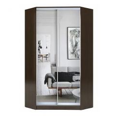 Шкаф-купе ХИТ-У-R-22-64-55 в Еманжелинске - emanzhelinsk.mebel24.online | фото