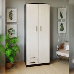 Шкаф распашной ПШ-3.9 в Еманжелинске - emanzhelinsk.mebel24.online | фото 3