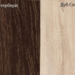 Шкаф Смарт в Еманжелинске - emanzhelinsk.mebel24.online | фото 4