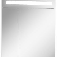 Шкаф-зеркало Аврора 65 с подсветкой LED Домино (DV8006HZ) в Еманжелинске - emanzhelinsk.mebel24.online | фото