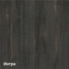 Трувор Шкаф 13.204.01 в Еманжелинске - emanzhelinsk.mebel24.online | фото 3