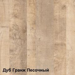 Трувор Шкаф 13.204.01 в Еманжелинске - emanzhelinsk.mebel24.online | фото 4