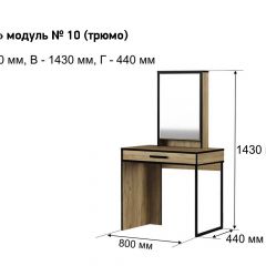 Трюмо "Лофт 10" в Еманжелинске - emanzhelinsk.mebel24.online | фото 3