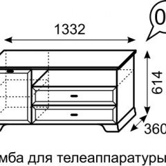 Тумба для телеаппаратуры Венеция 6 бодега в Еманжелинске - emanzhelinsk.mebel24.online | фото 2