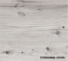 АСАЯ Кухонный гарнитур Мини 1000 мм в Еманжелинске - emanzhelinsk.mebel24.online | фото 8