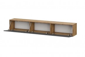 БАЙКАЛ Тумба (Графит/Дуб золотой) в Еманжелинске - emanzhelinsk.mebel24.online | фото 2