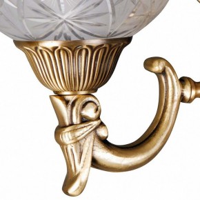 Бра MW-Light Афродита 2 317021902 в Еманжелинске - emanzhelinsk.mebel24.online | фото 5