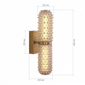 Бра ST-Luce SAGUARO SL6144.301.01 в Еманжелинске - emanzhelinsk.mebel24.online | фото 5