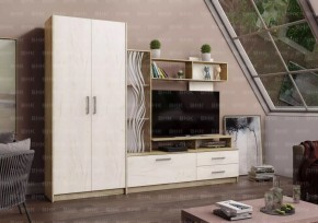 ДАРЬЯ Гостиная (Крафт серый/Крафт белый) в Еманжелинске - emanzhelinsk.mebel24.online | фото