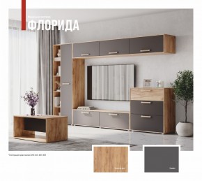 ФЛОРИДА Гостиная (модульная) дуб золотой/графит в Еманжелинске - emanzhelinsk.mebel24.online | фото