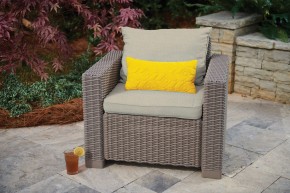 Комплект кресел Калифорния (California chair) капучино в Еманжелинске - emanzhelinsk.mebel24.online | фото 2